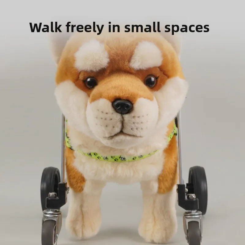 Thumbnail 3 - #39 Ranked Pet Agility Equipment Picks in 2026