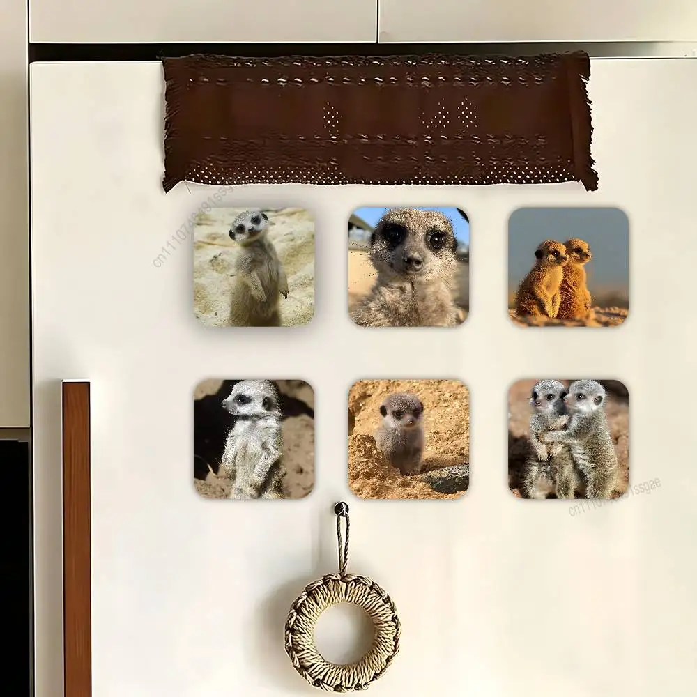 

Cute Baby M-Meerkat Decorative Refrigerator Magnets, Cute Funny Fridge Magnets for Kitchen Home Office Whiteboard Locker Decor