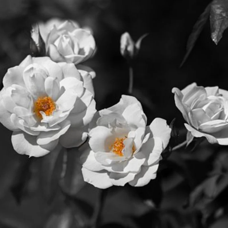 Металлическая передняя/задняя мостовая ось, коробка передач для WPL C14 C24 B14 B24 B16 B36 1/16 RC Car Truck Rock Crawler Trucks RC Автозапчасти