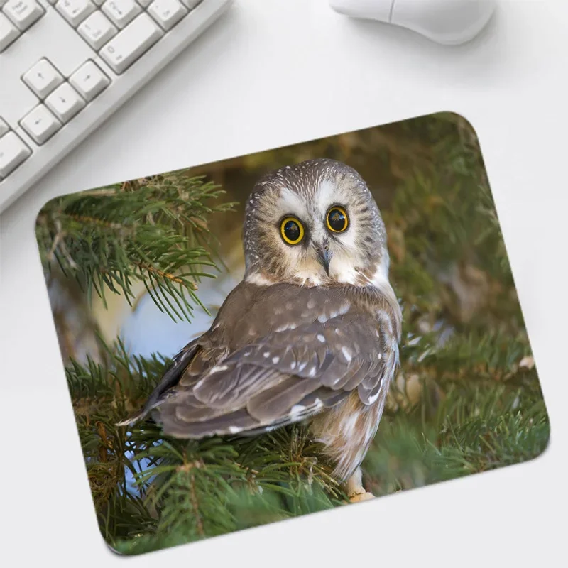 MRGBEST Big Promotion Small Mouse-pad Animal Owl Desktop Game Pad 220x180mm Provide Comfort Personality Table Pads for Gamer