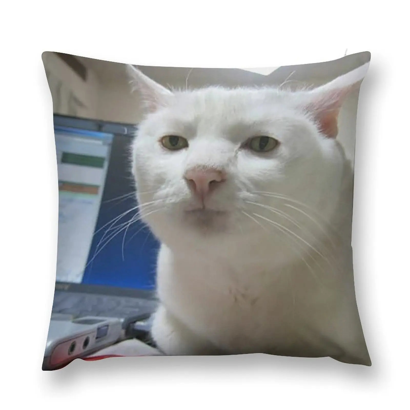 Serious Cat Meme Throw Pillow Pillow Cases Decorative Decorative Sofa Cushion Christmas Covers pillow