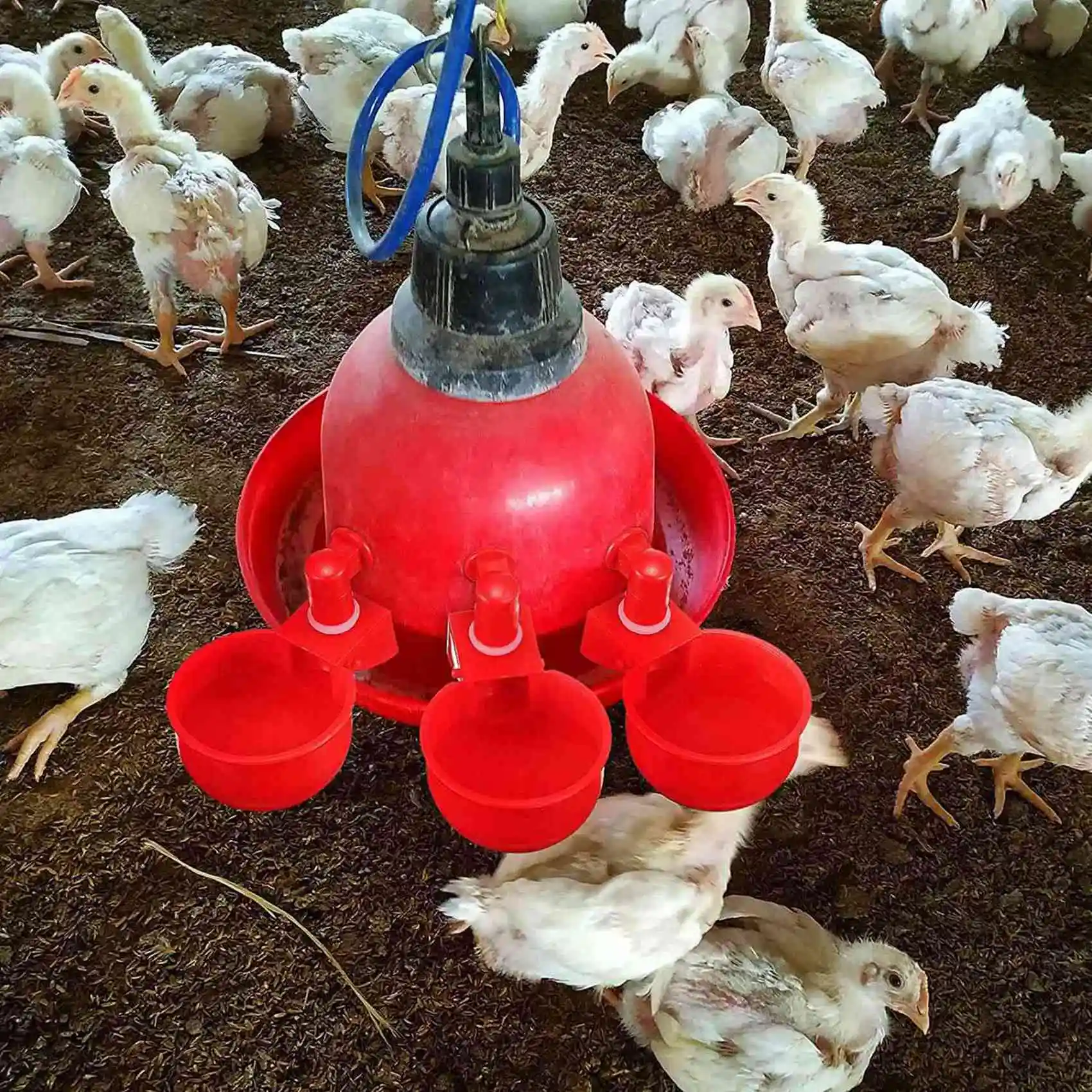 AC23-24PCS Chicken Watering Cup Automatic Filling Waterer Poultry Drinking Bowl Thread Watering Feeder Cup For Chicken