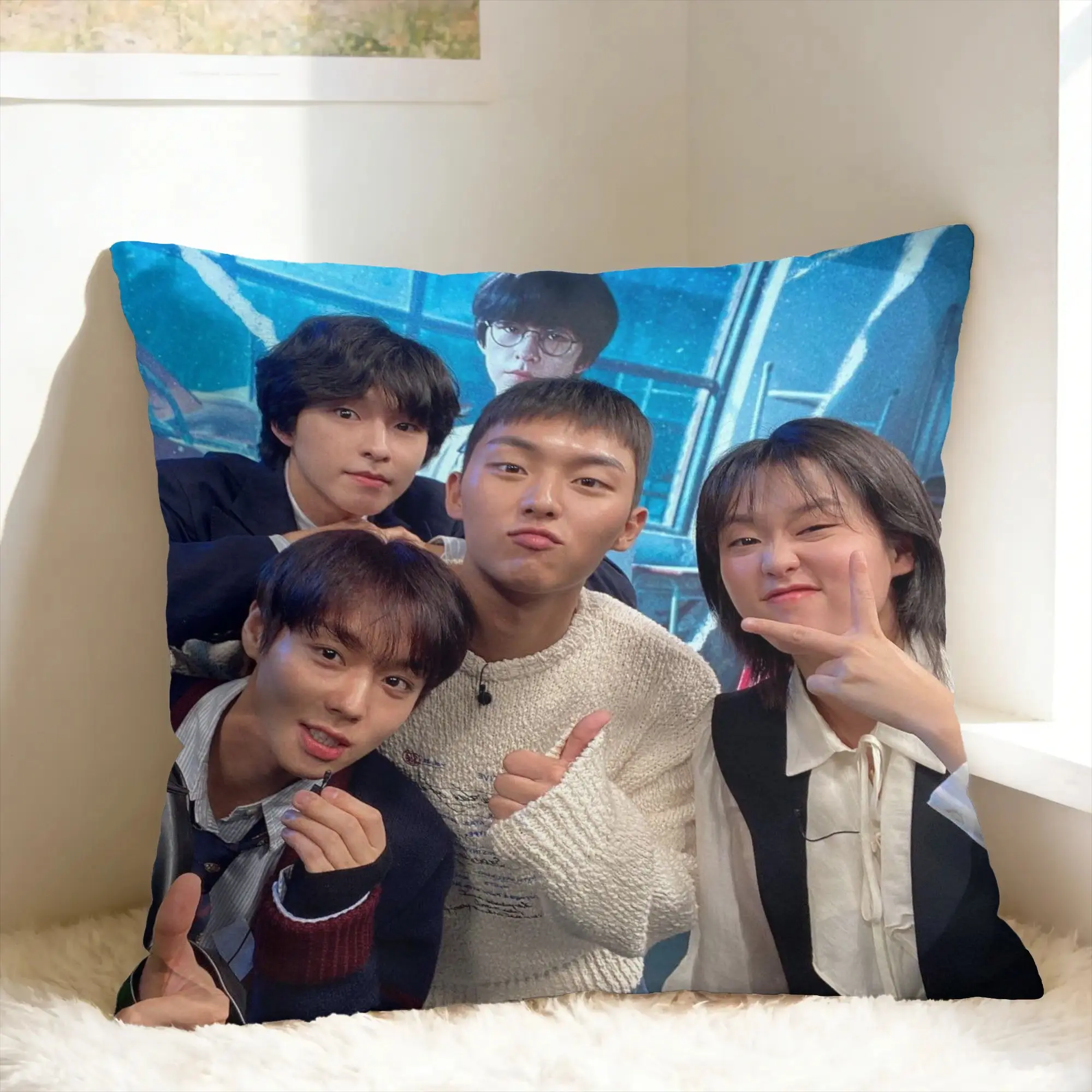 Hot Kdrama Weak Hero Class Pillow Case  Cute Funny Pillow Cover Soft Pillowcases For Living Room Chair