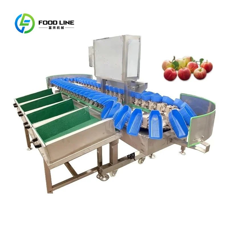 Tray Type Weight Grading Sorter Easy Operation Apple Lemon Peach Orange Kiwi Mango Avocado Fruit Sorting Machine Customized