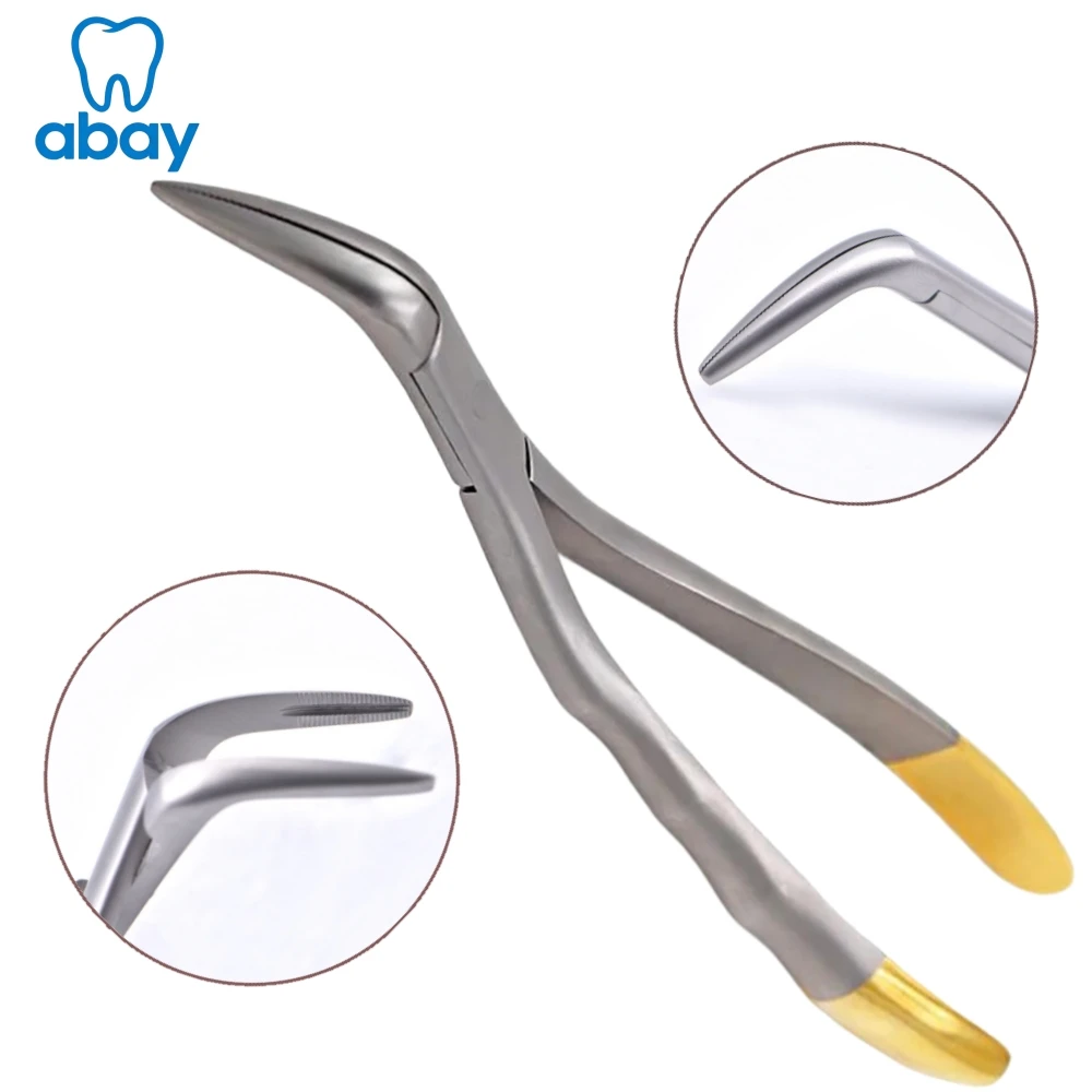 Fórceps Dentales para Extracción de Raíces y Fragmentos  Curvos Pico de Loro Estriados  Maxilares y Mandibulares Instrumental de Acero Inoxidable
