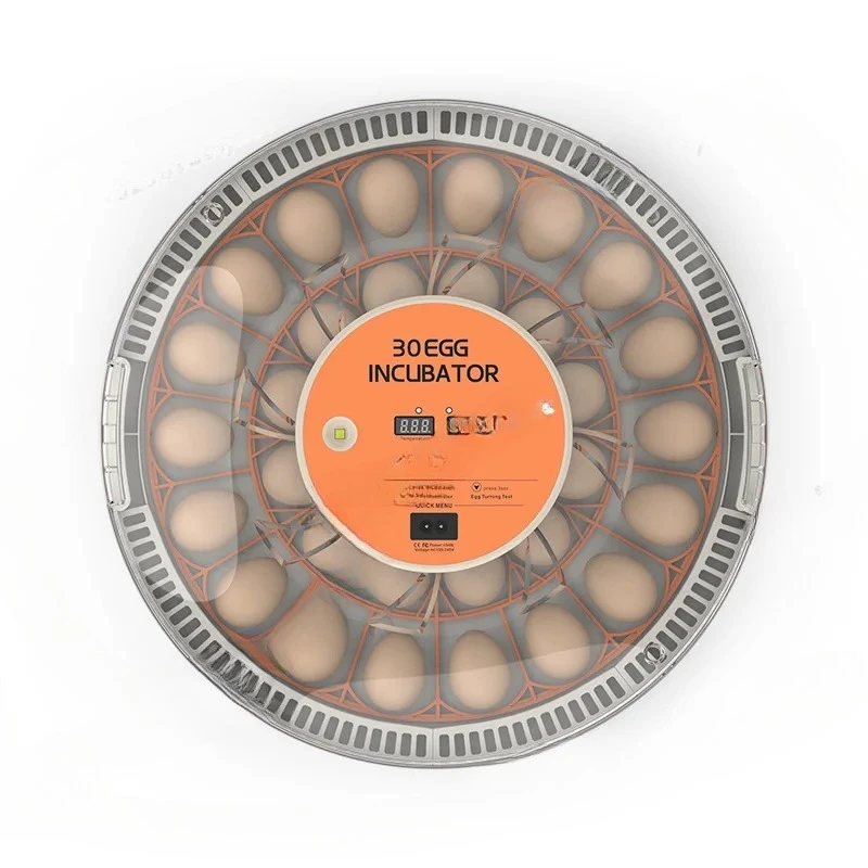 

Intelligent Egg Incubator Rutin Chicken Small Incubator Poultry Incubation Breeding Incubator