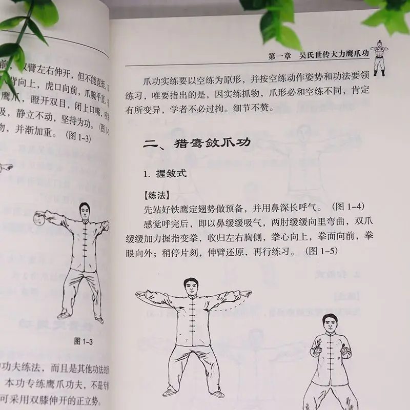 China Shaolin Temple Kung Fu Martial Art Powerful Eagle Claw Skill Book