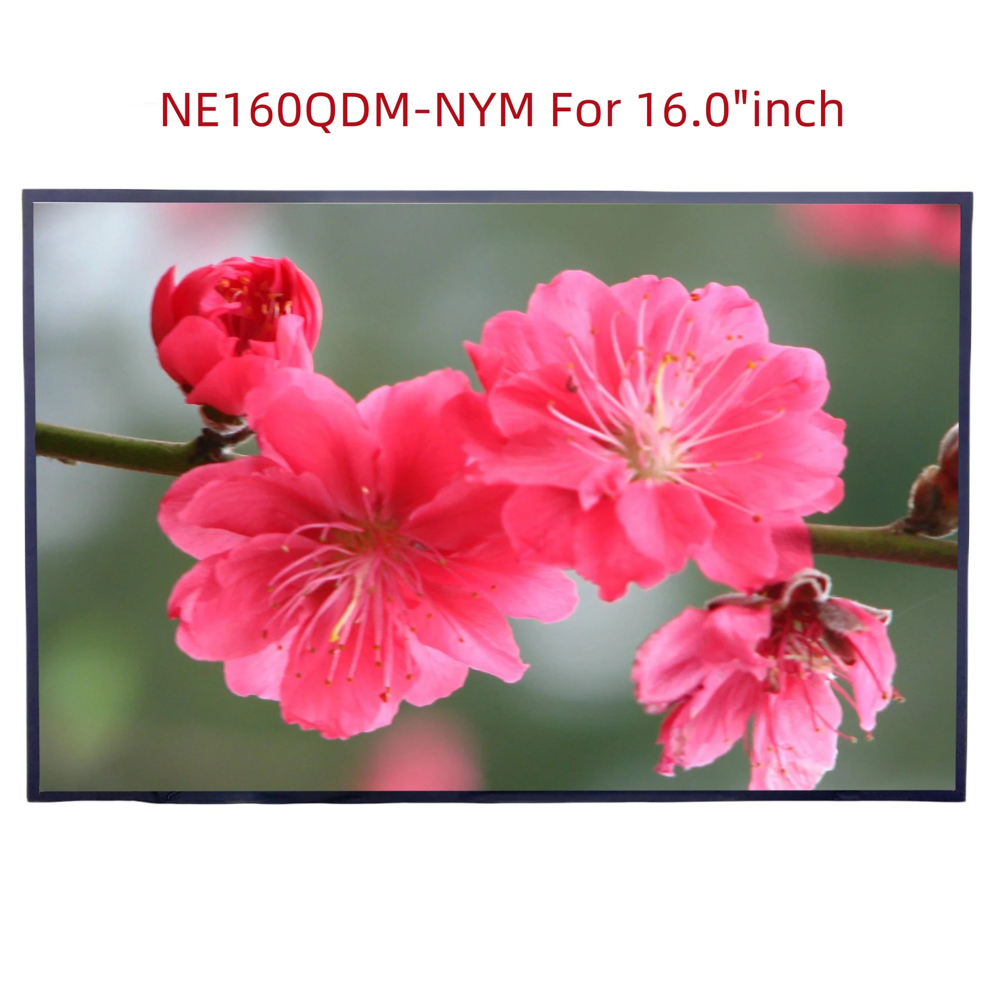 NE160QDM-NYM для 16,0-дюймового ноутбукового ЖК-LED экрана, 100% sRGB, 165 Гц, 2560x1600, замена дисплейной панели.