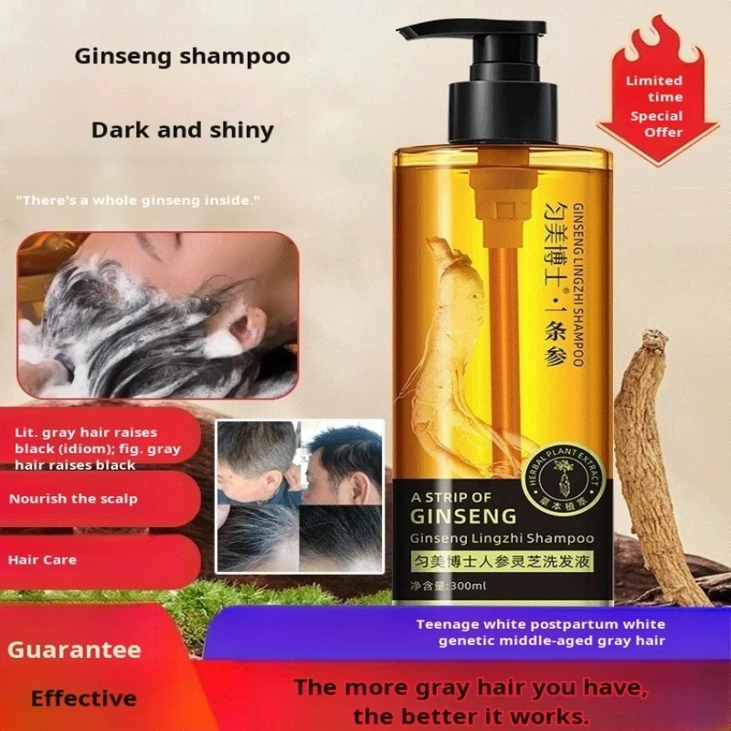 Plant Extract Ginseng Shampoo Equalizing and Brightening Hair Care Essence Scalp Cleansing Reishi Sooty Glossy Hair Care Shampoo