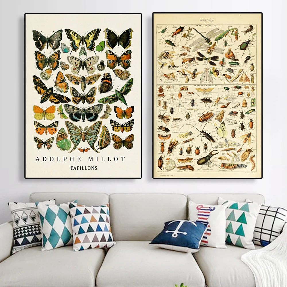 

Vintage Science Print Poster Insects Chart Bugs Butterfly Canvas Painting Botanical Poster Home Wall Decoration Best Gift Idea