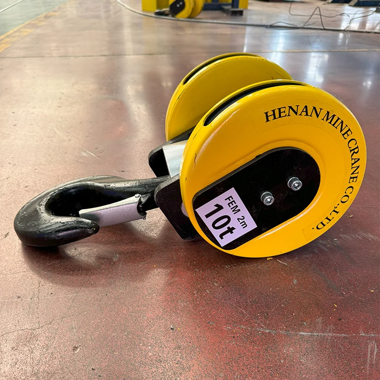 New Chaoyang 500kg Double Girder Crane Articulated Hook Roller Bearing Metal Construction 1 Year Warranty for All Kinds Cranes