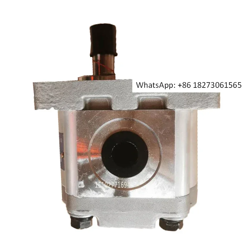 Gear Pump CBW-F 304…