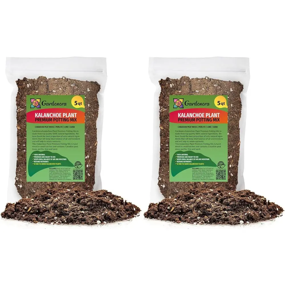 

Премиальный грунт для каланхоэ - 10 кварт, оптимизированный для роста, с натуральными ингредиентами (2 упаковки по 5 кварт)