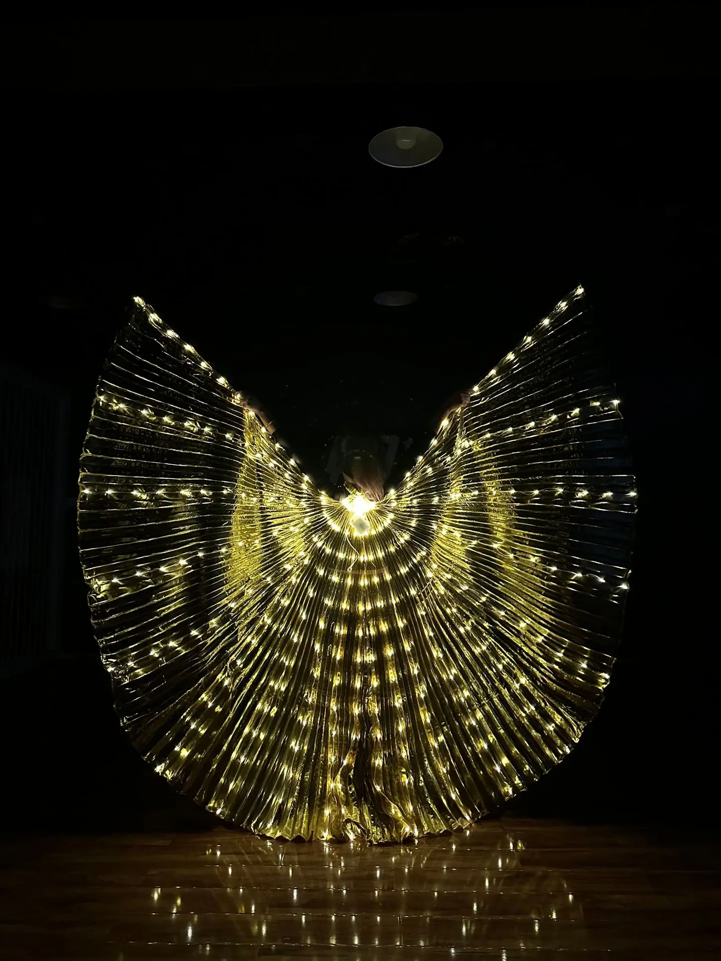 Taniec brzucha LED Isis Wings Skrzydło motyla Opcje złotego koloru dla dorosłych Występ na scenie Pokaż praktykę Garnitur karnawałowy