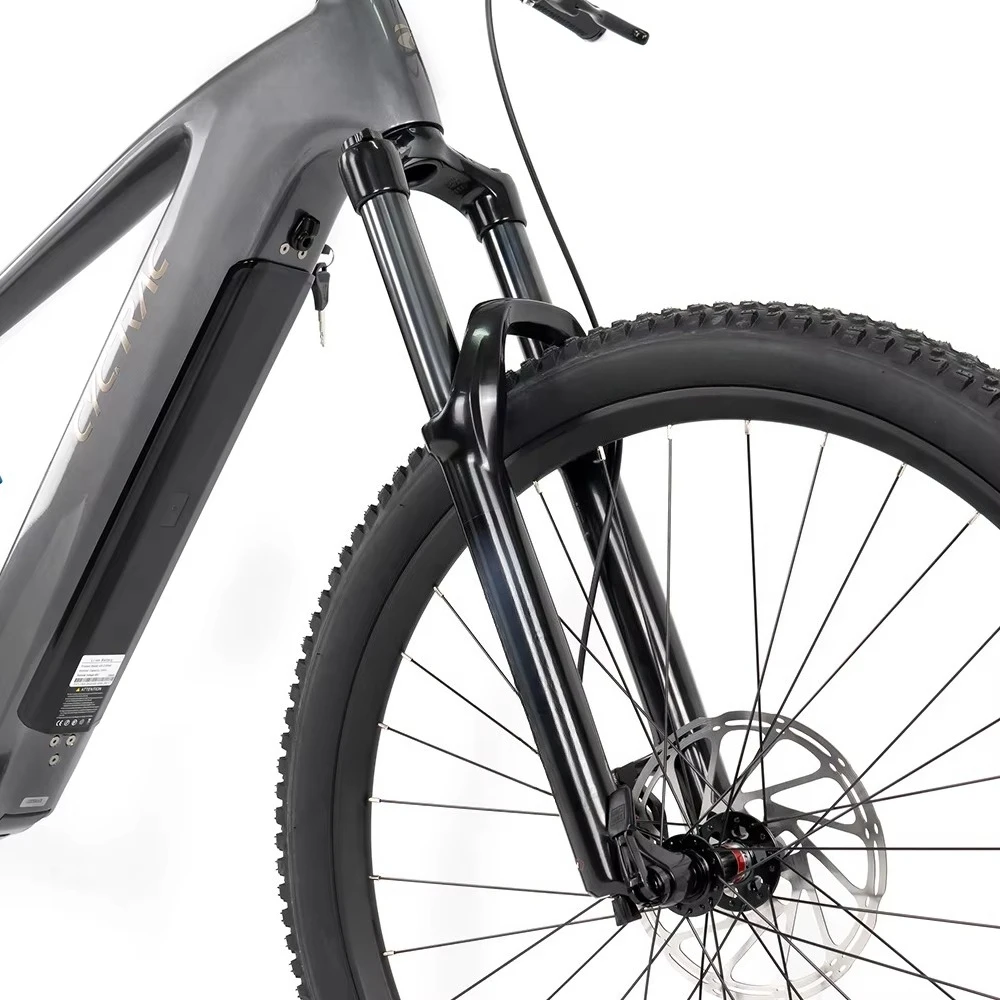 Mountain bike elettrica a sospensione completa EM10 BAFANG M510 48V 250W Telaio in fibra di carbonio 12S Mountain bike elettrica 29 pollici