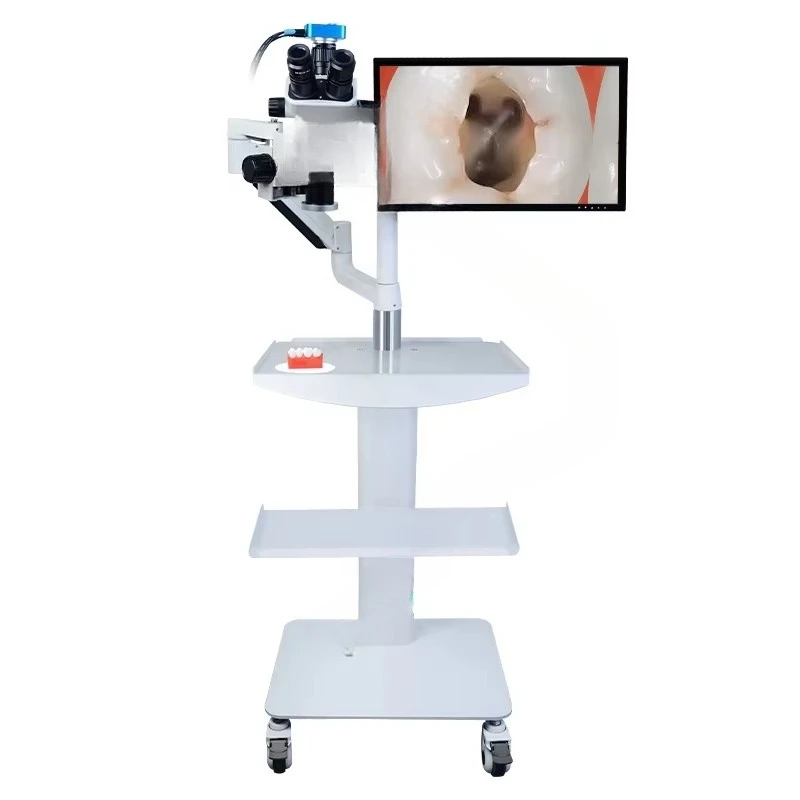 

Dental Laboratory Surgery Microscope Laboratory Biomicroscope Dental Medicine Endodontic Microscope with Camera