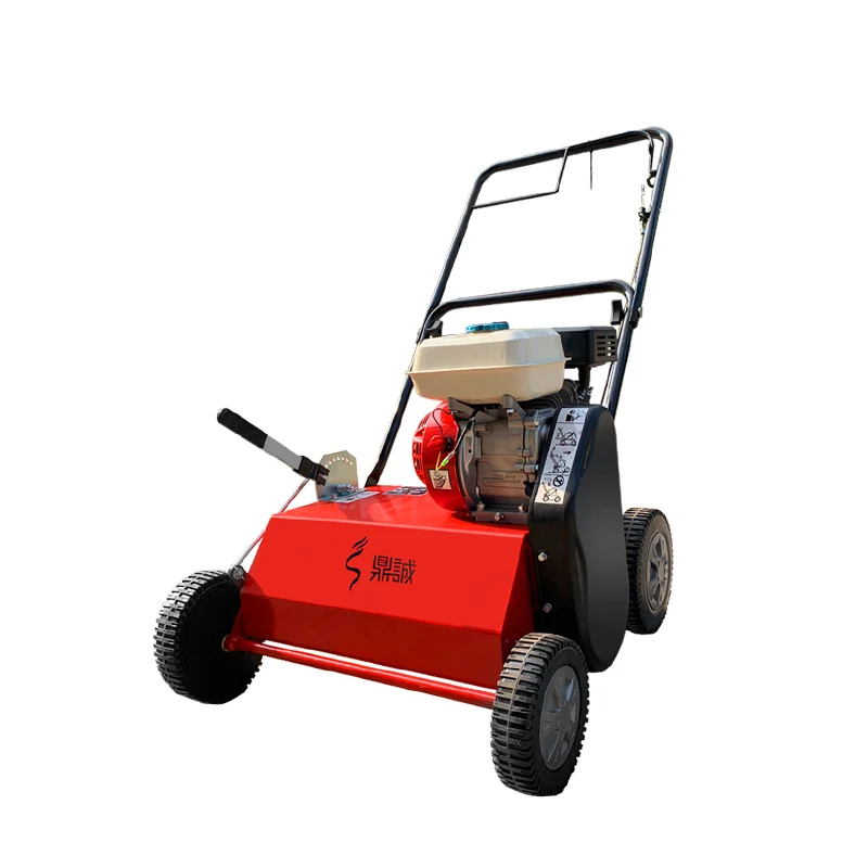 Lawn groomer hand push grass maintenance dead grass care natural grass root cutting cleaning machine