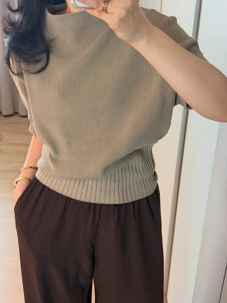 Elegant Soft Knit Top Casual Commute Office Slim Fit Blouse Ladies Spring Autumn Daily Fitted Knitwear
