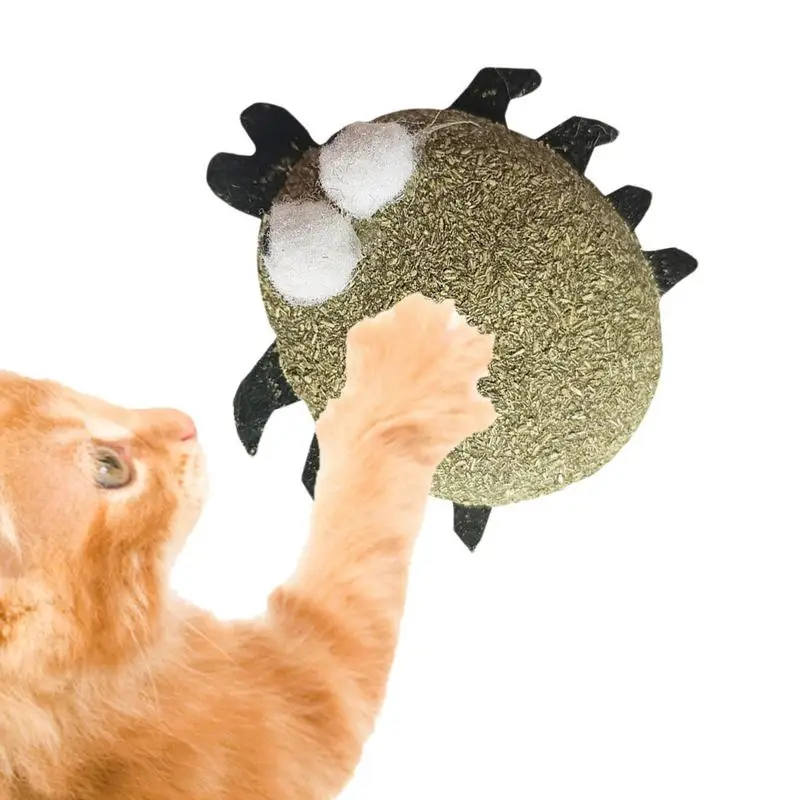 Brinquedos de gato brinquedos de gato para gatos de estimação brinquedos de gato para gatos de estimação brinquedos de gato para gatos internos