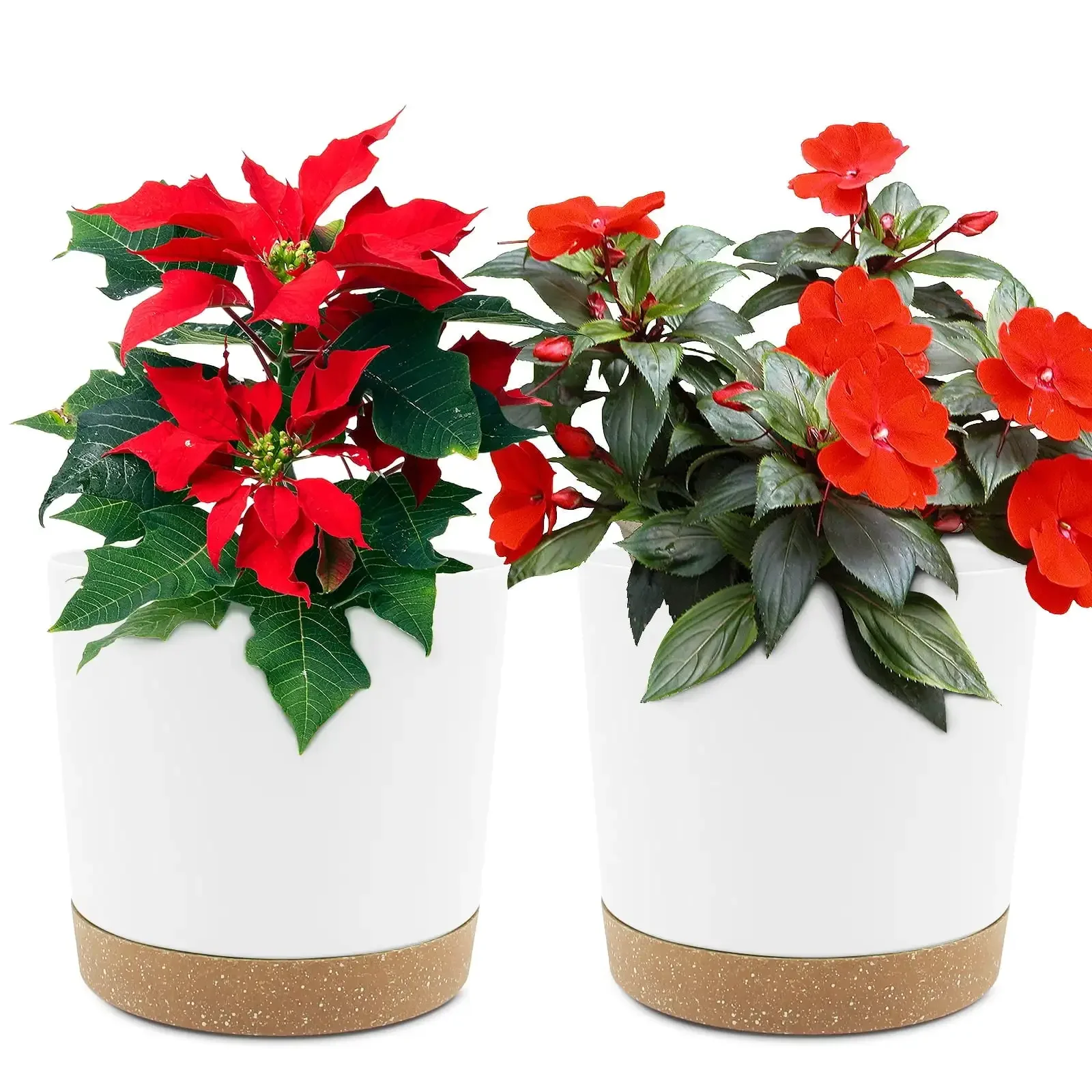 2 Pack 6.5 Inch White Plastic Indoor Plant Pots, Planters with Drainage Holes and Removable Base ****