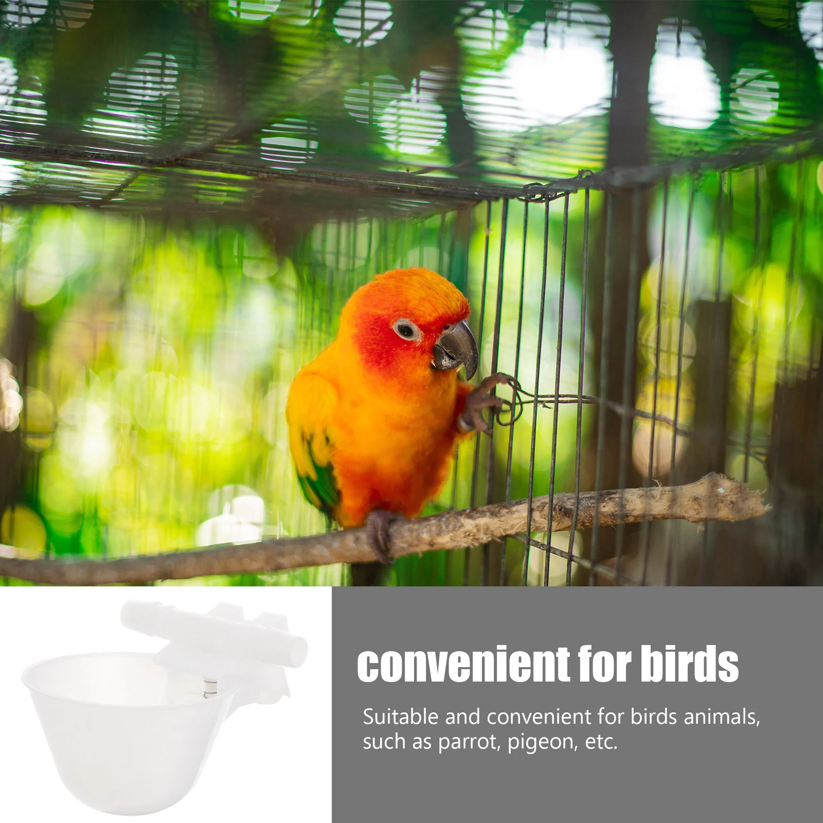 

10 Pcs Automatic Bird Feeder Autodrinker Durable Plastic Bowl for Parrot Pigeon Small Birds Clean Water Easy Cleaning Pet Shop