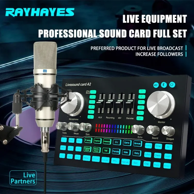 RAYHAYES A2 Live Sound Card U87 Condenser Microphone Set Cardioid Mic Studio Recording Equipment For Live Streaming Sing