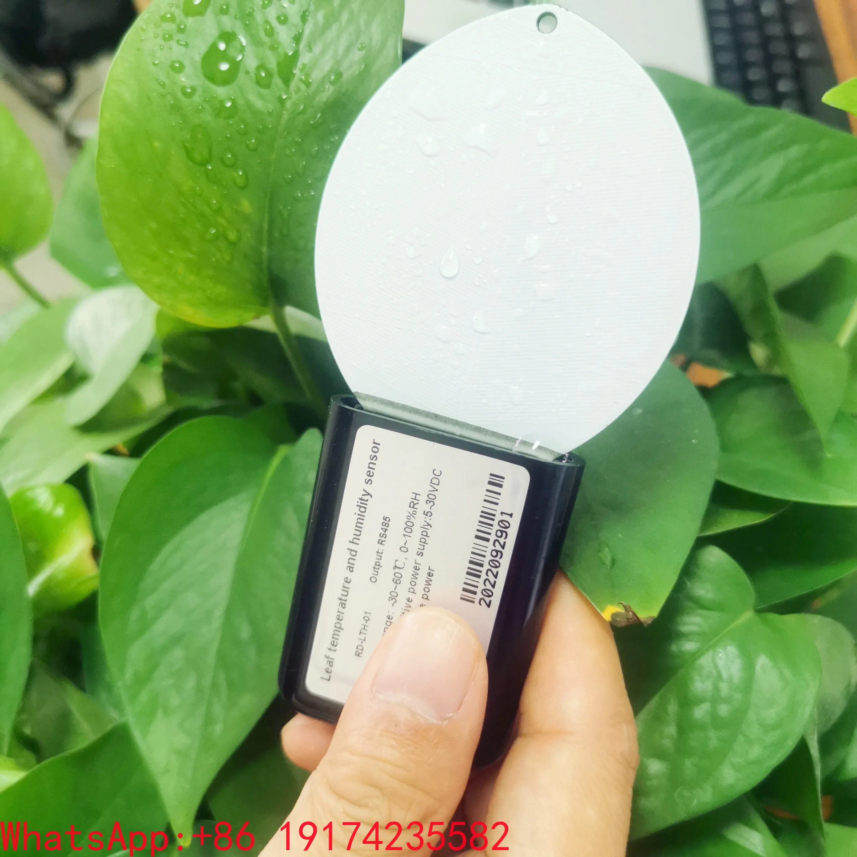 Digital Output Leaf Humidity Temperature RS485 Modbus Leaves Surface Moisture Test Leaf Wetness Sensor Price For Agriculture