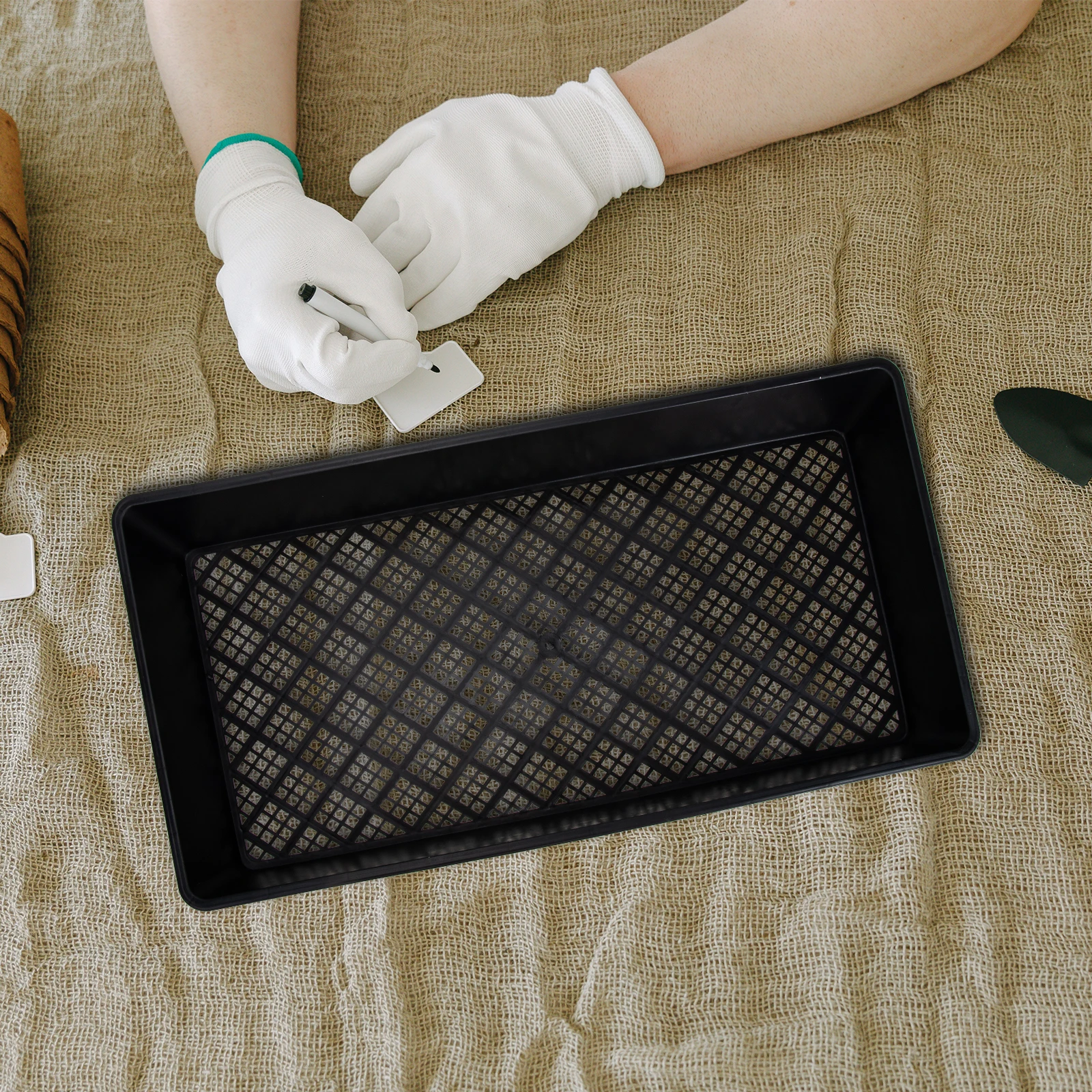 

Sprouting Kit Seedling Tray 50 Holes Plant Germination Microgreens Growing Trays Durable High Strength Practical