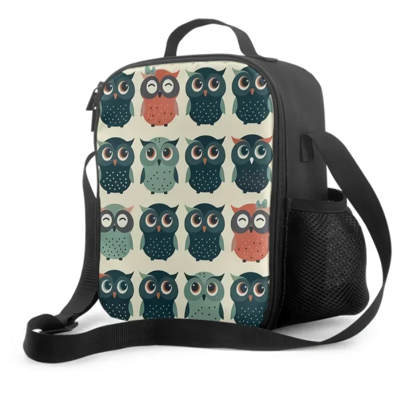 Colorful Funny Owls Insulated Lunch Box for Girls Boys Portable Lunch Bag with Adjustable Shoulder Strap and Side Pocket Durable