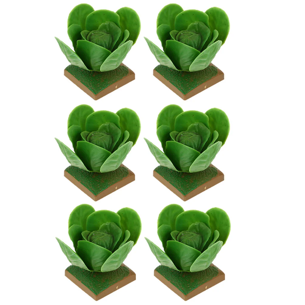 6 Pcs Cabbage Model Plaything Educational Toys Kids for Playset Simulation Veg Adornments Playthings Miniature