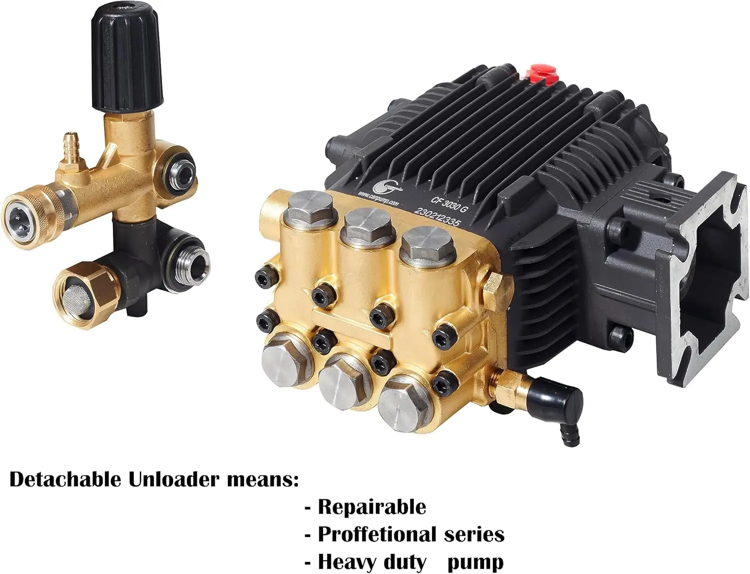 CF 3030 G: 3000 Psi @ 3.1 US Gpm, 3/4-in Shaft Pressure Washer Pump