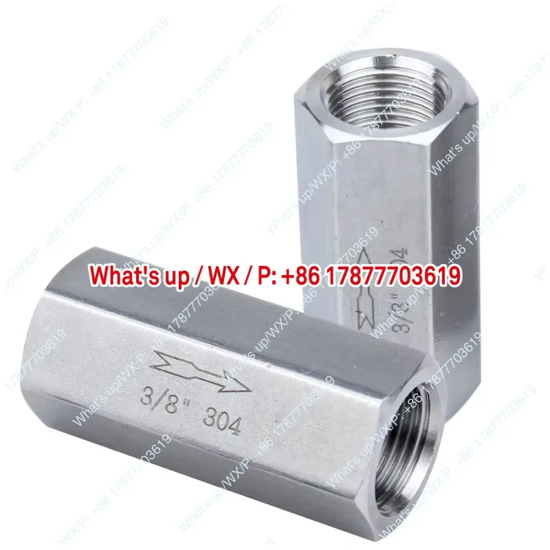 Stainless steel gas check valve spring check valve internal thread BSPP NPT one-way inline flow control