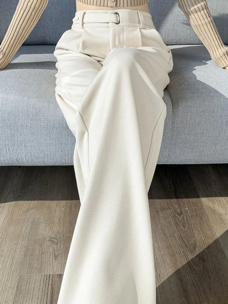 المرأة مستقيم واسعة الساق السراويل دعوى مع الستارة ، البني الصوفية ، النسخة الضيقة ، جديد ، الخريف والشتاء ، 2022