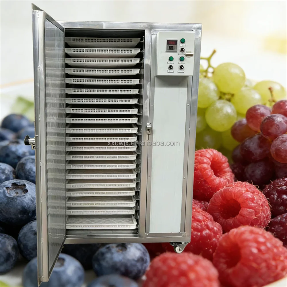Vacuum Dehydrator for Fruit Vegetable Pepper Mango Flower Tea Meat Seafood Drying Customized High Efficiency Tray Dryer Machine