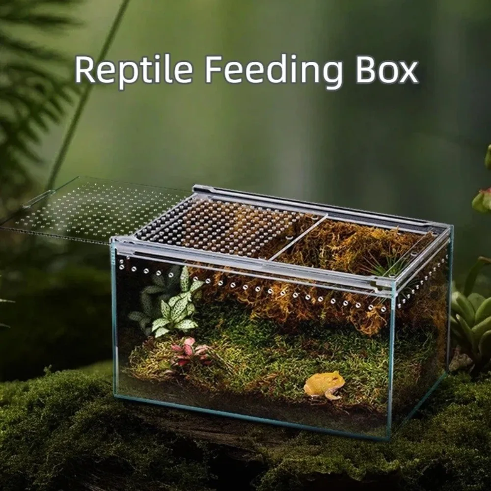 New Transparent Reptiles Terrarium Acrylic Easy to Install Reptile Kennel Ventilated Anti-escape Lizard Breeding Box for Snake - view 2