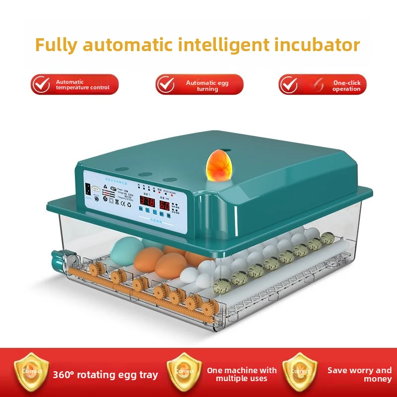Mini Automatic Egg Incubator with Temp Control – Smart Hatcher for Chicken, Duck, Goose & Quail Eggs, Home Use