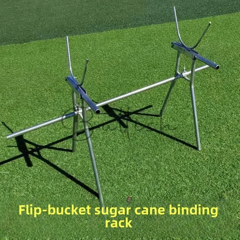 Special binding shelf for cutting sugarcane activity Tipping bucket sugarcane bundle Kidnapping sugarcane storage