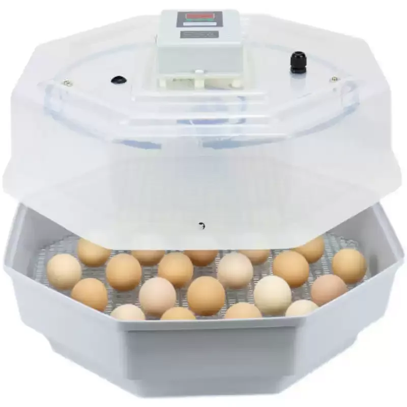 60 Eggs Automatic Egg Incubator Egg Cracking Constant Temperature Incubator Digital Temperature Controller