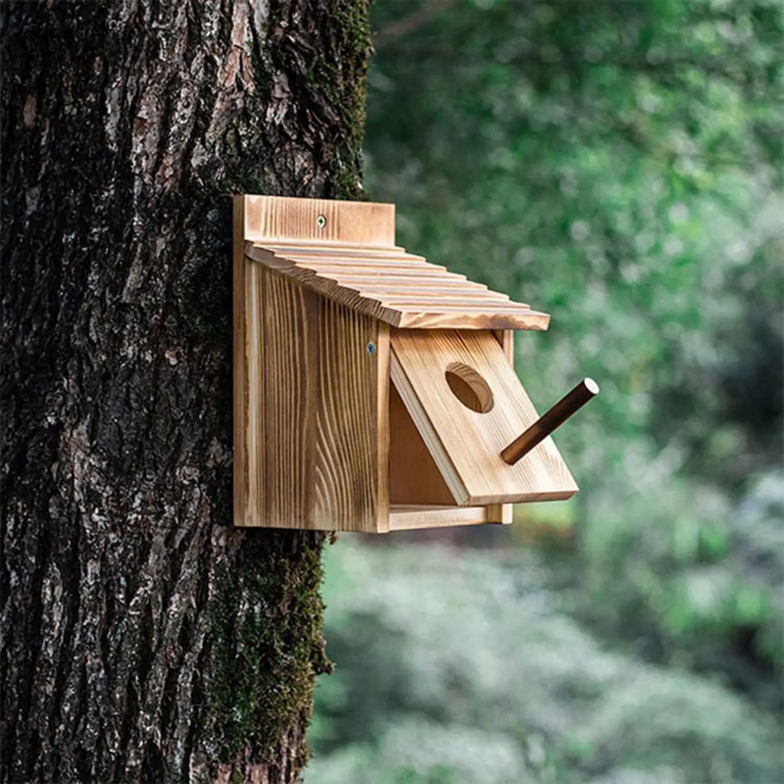 Casa nido y comedero para pájaros – Madera para exterior - imagen 2