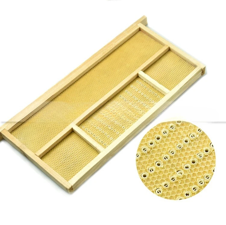 مجموعة أدوات تربية ملك الحشرات الصينية الخالية من النحل #6