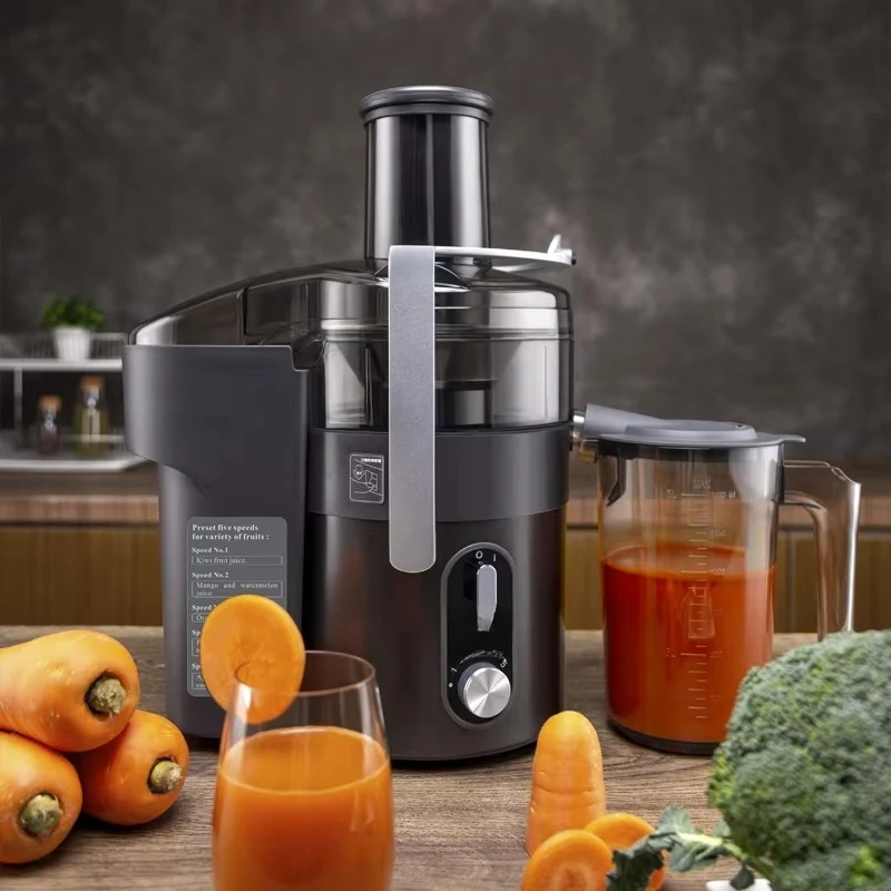 Commercial Electric Centrifugal Juicer Variable Speed Control Food Grade Structure Smooth Juice Slow Juicer
