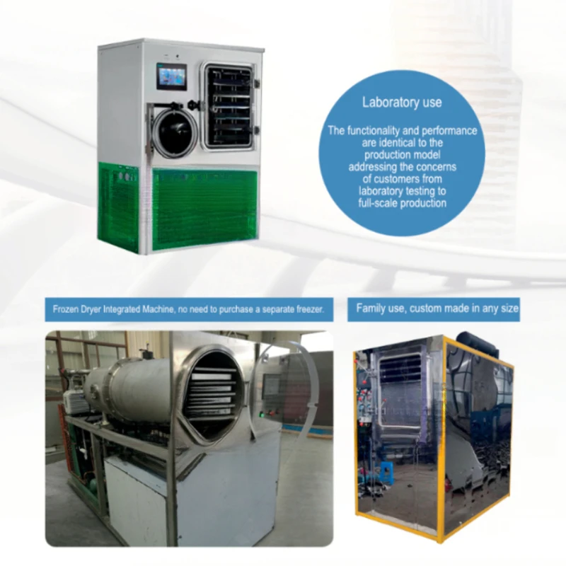 Digital Controller, 5Kg-10Kg Capacity, Easy To Operate, Home-Use Dryer, Vacuum Freeze Dryer