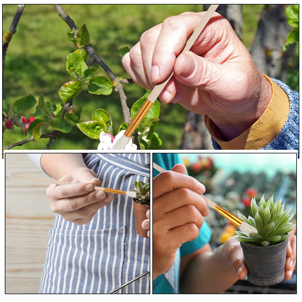 

6pcs Pollinator Tool Soft Wool Tip for Tree Fruit Yard Plant Outdoor Herb Pear Chalk Pen H Pollination Vegetable Crops Increase