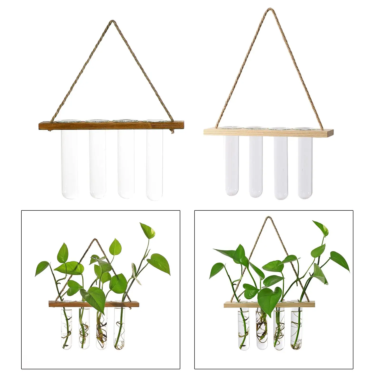 Test Tubes Hanging Vase Wall Mounted Glass Planter Bud Terrarium Container for Indoor Garden Decor