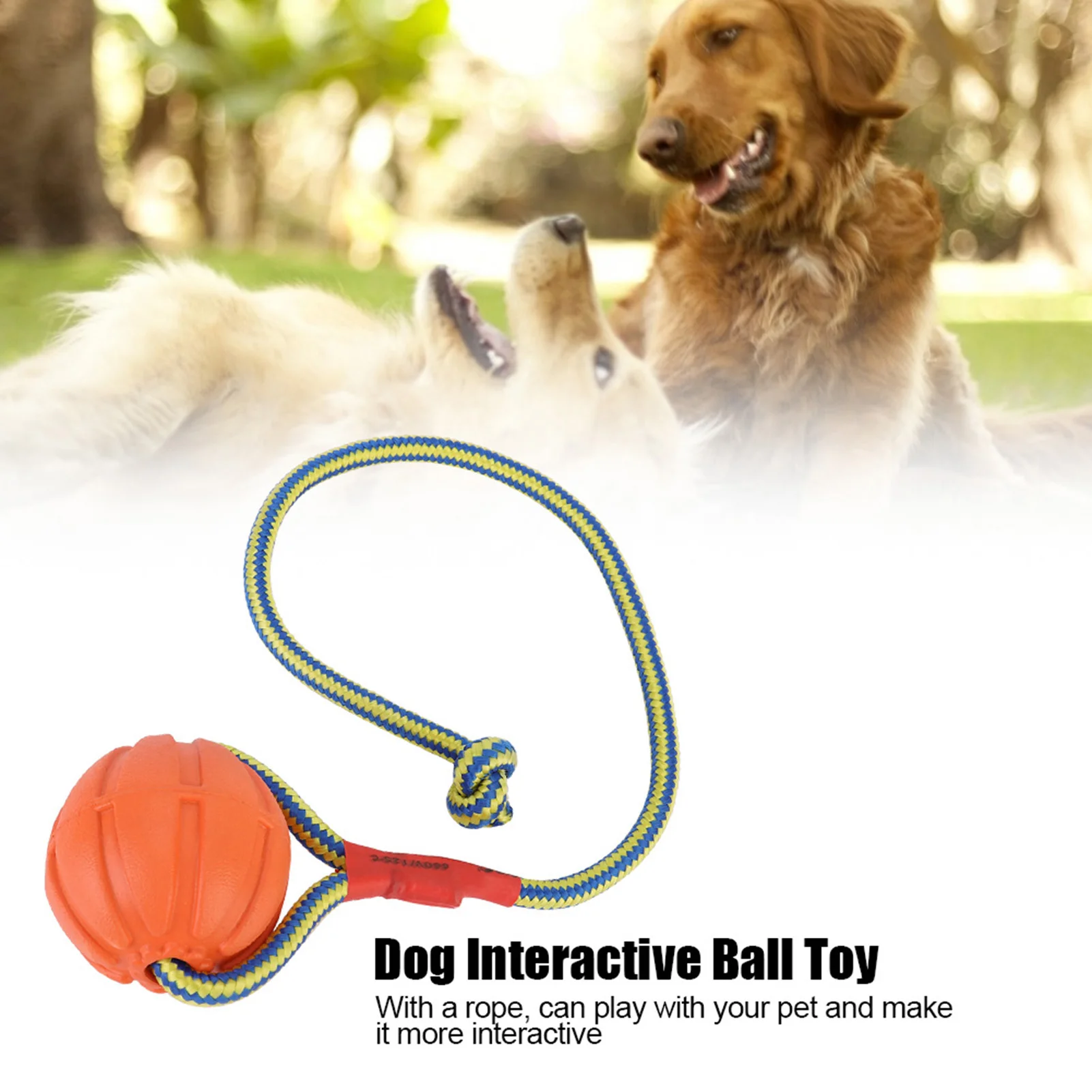 Portable EVA Pet Dog Training Bite Resistant Interactive Chew Toys, Ball with Rope