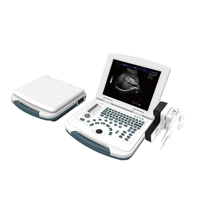 

Medical Diagnostic B&W Portable Human Ultrasound Machine with Transducer