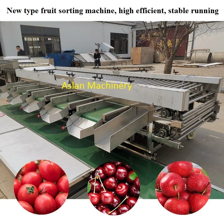 Factory Price Citrus/Avocado/Lemon Sorting Grading Machine Roller Type Tomato Grading Sorting Machine Price