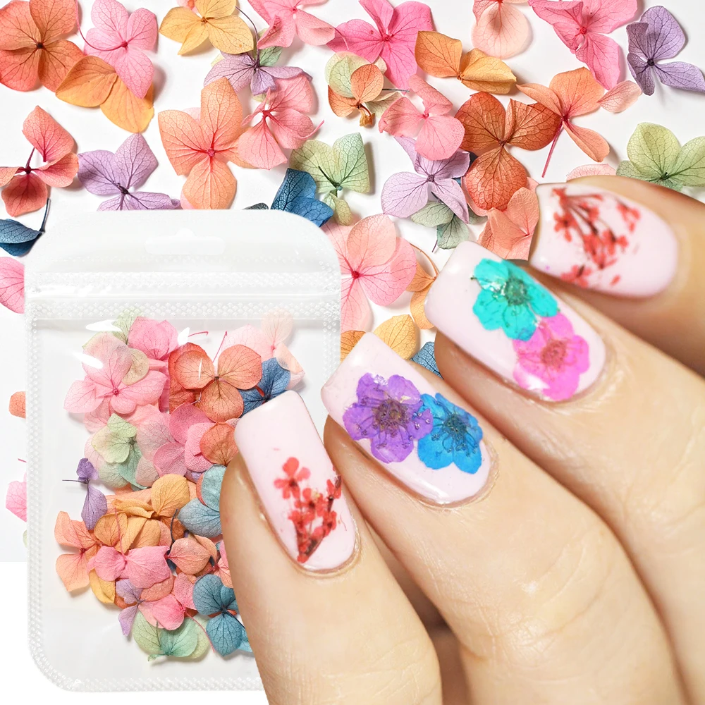 50 Pcs 3D Colorful Dried Flowers,Real Natural Flowers Nail Art Decoration Supplies Dry Flowers Nail Stickers Accessories for&DI