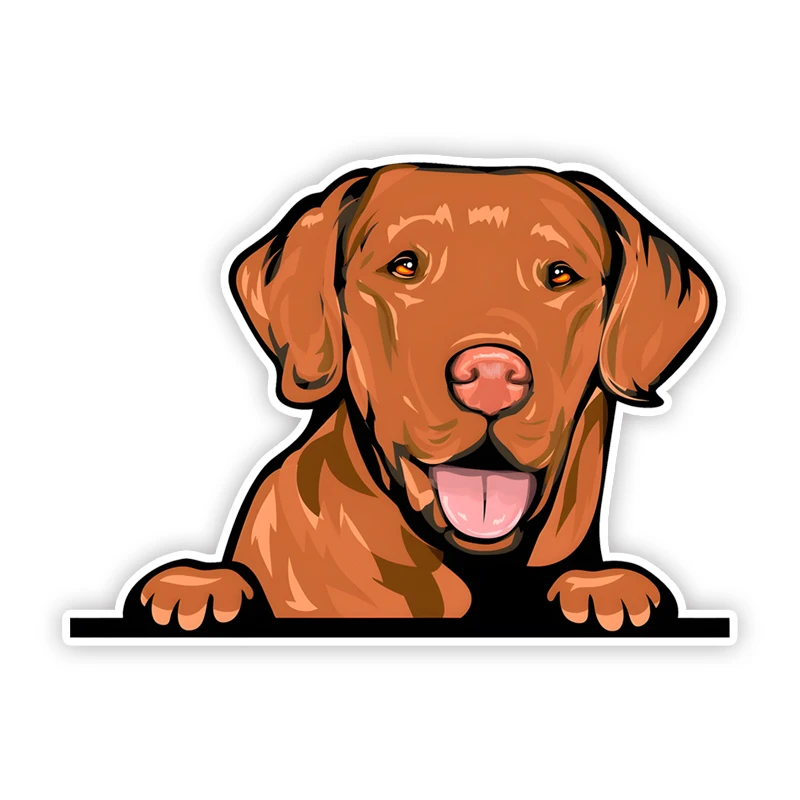 

DK332# Labrador Leaning on the Window Car Stickers Waterproof Vinyl Decal For Truck Motorcycle Scooter Auto Accessories