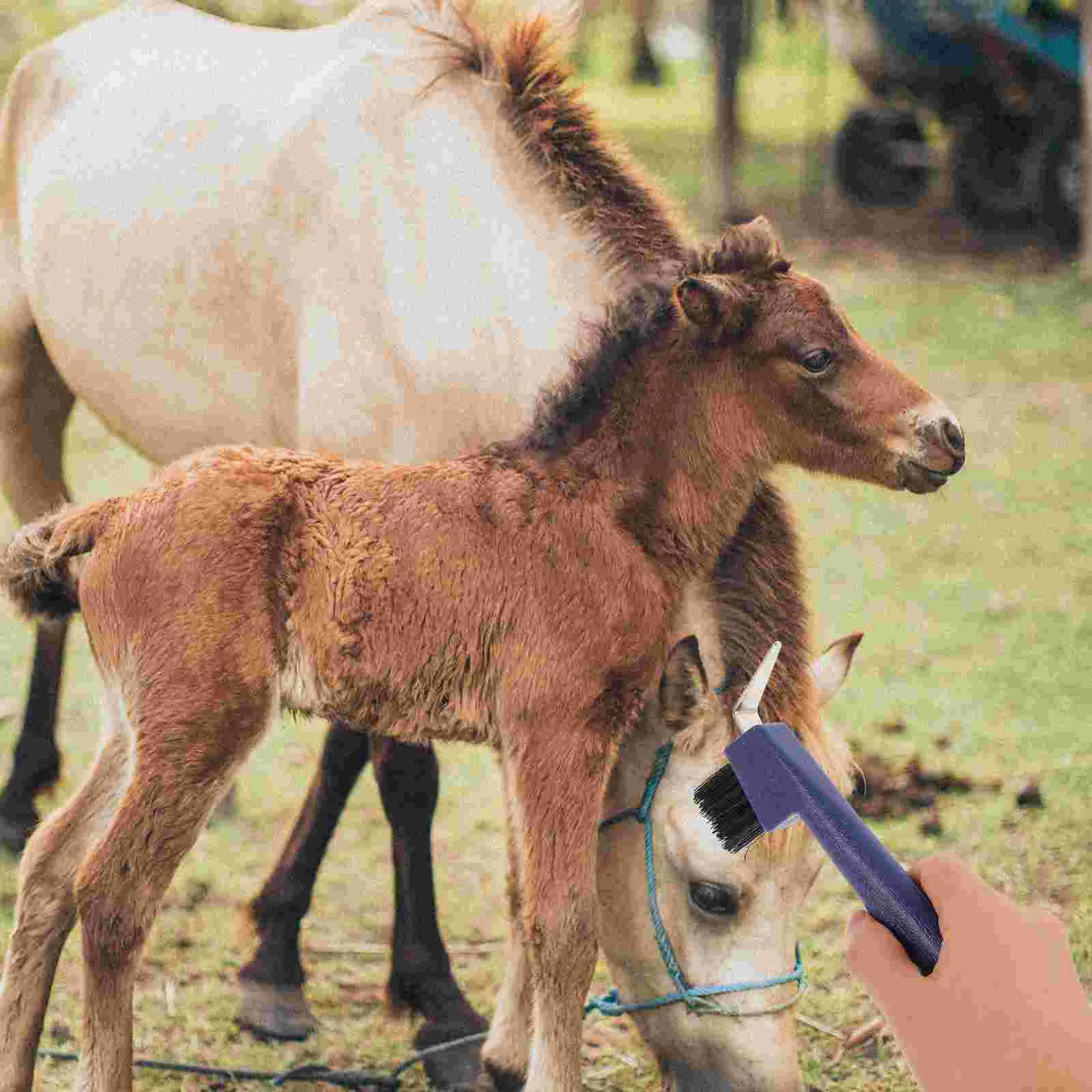 Outils de soin des sabots pour cheval, fer à cheval, cure-livres avec brosse, fer à repasser, toilettage des cheveux, poignées souples